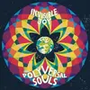 Double LP & MP3 - The Polyversal Souls - Invisible Joy