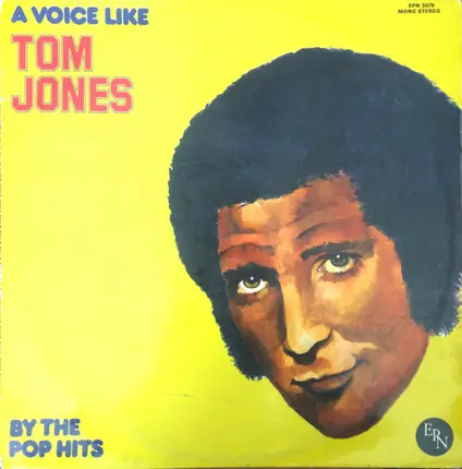 The Pop Hits - A Voice Like Tom Jones