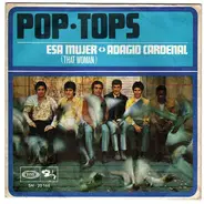 The Pop Tops - Esa Mujer = That Woman / Adagio Cardenal