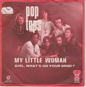 The Pop Tops - My Little Woman