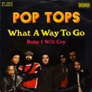 7inch Vinyl Single - The Pop Tops - What A Way To Go