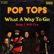 The Pop Tops - What A Way To Go