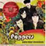 Poppers - Boys Keep Swinging