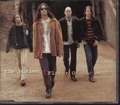 The Posies - Flavor Of The Month