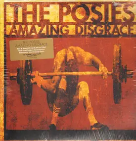 The Posies - Amazing Disgrace