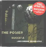 The Posies - Success + Nice Cheekbones And A Ph.D.