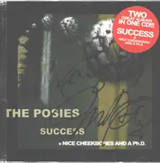 The Posies - Success + Nice Cheekbones And A Ph.D.