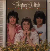 Picture Disc - The Pat McGlynn Band - Flying High