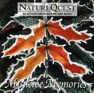 The Patrick Nelson Collective - Mistletoe Memories