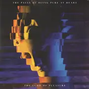 LP - The Pains Of Being Pure At Heart - The Echo Of Pleasure - Sealed