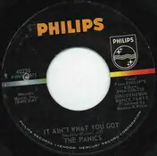 The Panics - It Ain't What You Got