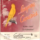 10'' - The Parker Canaries - Singing Canaries