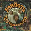 LP & MP3 - The Parrots - Los Ninos Sin Miedo (lp+mp3) - + DOWNLOAD