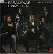 12inch Vinyl Single - The Pasadenas - Funny Feeling