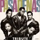 7inch Vinyl Single - The Pasadenas - Tribute