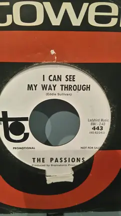 The Passions - Just Another Reason / I Can See My Way Through