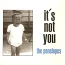 7inch Vinyl Single - The Penelopes - It's Not You