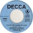 7inch Vinyl Single - The Peppermint Rainbow - You're The Sound Of Love