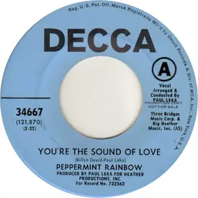 The Peppermint Rainbow - You're The Sound Of Love