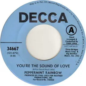 The Peppermint Rainbow - You're The Sound Of Love