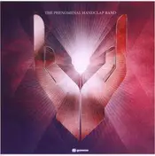 The Phenomenal Handclap Band - The Phenomenal Handclap Band