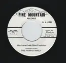 7inch Vinyl Single - The Phipps Family - Hurricane Creek Mine Explosion