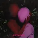 CD - The Phoenix Foundation - Horsepower