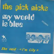 The Picknicks
