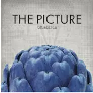 The Picture - Bluebirds