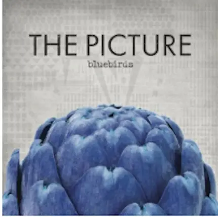 The Picture - Bluebirds