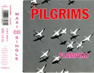 The Pilgrims - Flamingo