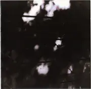 CD - The Pilot Ships - The Limits Of Painting And Poetry