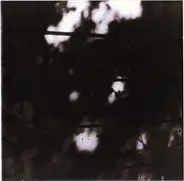 The Pilot Ships - The Limits of Painting and Poetry