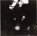 CD - The Pilot Ships - The Limits Of Painting And Poetry