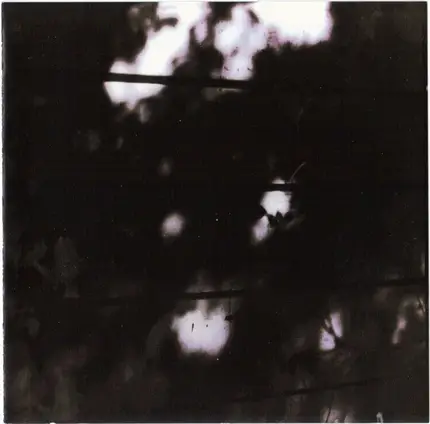 The Pilot Ships - The Limits of Painting and Poetry