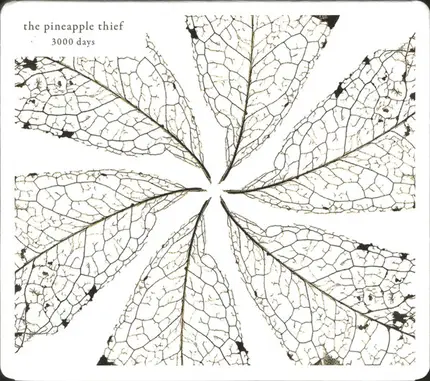 The Pineapple Thief - 3000 Days