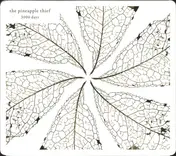 Pineapple Thief - 3000 Days