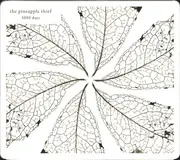 Double CD - The Pineapple Thief - 3000 Days - Super Jewel Box