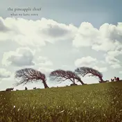 Pineapple Thief - What We Have Sown