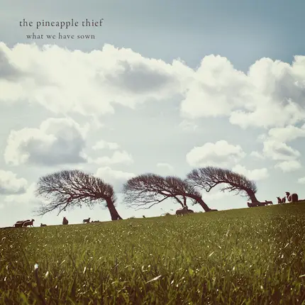 The Pineapple Thief - What We Have Sown