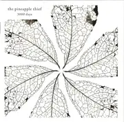 Double CD - The Pineapple Thief - 3000 Days - Super Jewel Box