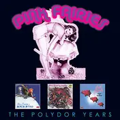 The Pink Fairies - The Polydor Years