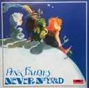 LP - The Pink Fairies - Never Never Land