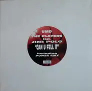 The Players Feat. Jimi Polo - Can U Fell It