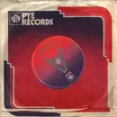 7inch Vinyl Single - The Playthings - Walkin' On A Tight Rope - Promo