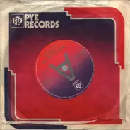 The Playthings - Walkin' On A Tight Rope
