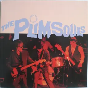 The Plimsouls - One Night in America