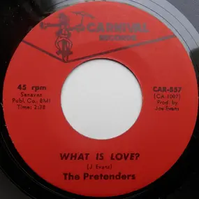 The Pretenders - What Is Love?