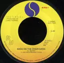 7inch Vinyl Single - The Pretenders - Back On The Chain Gang