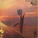 LP - The Pretty Things - Parachute